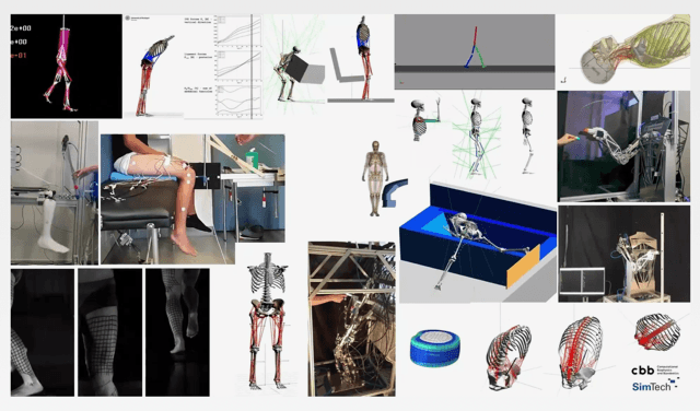Eine Collage aus zahlreichen Bildern und Simulationen zur biomechanischen Forschung. Sie zeigt computergenerierte Skelettmodelle, muskuläre Simulationen, Bewegungsanalysen und FEM-Darstellungen. Einige Bilder zeigen reale Versuchssituationen mit Probanden, etwa Beinbewegungen und Kniegelenkstudien an Geräten. Weitere Elemente sind digitale Modelle von Gehbewegungen, Sturzanalysen, Sitz- und Greifbewegungen, sowie Simulationen in farbigen 3D-Umgebungen. Das Logo von „cbb SimTech“ befindet sich unten rechts.